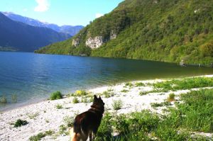 Bild 24: Ferienhaus Giorgia in Vesta am Lago di Idro mit eingezäunten Garten