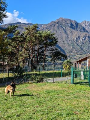 Bild 21: Ferienhaus Giorgia in Vesta am Lago di Idro mit eingezäunten Garten
