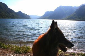 Bild 27: Ferienhaus Giorgia in Vesta am Lago di Idro mit eingezäunten Garten