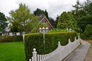 Bild 3: Wangerland: Zum alten Friesen Fewo ENNO bei Hooksiel, Hunde willkommen!