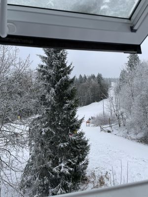 Traumblick auf die Piste - Bild 8: TOP Ferienwohnung "AussichtsReich" in Hahnenklee für 2 - 3 Pers. und Hund