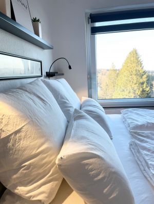 Ausblick vom Bett aus - Bild 20: TOP Ferienwohnung "AussichtsReich" in Hahnenklee für 2 - 3 Pers. und Hund