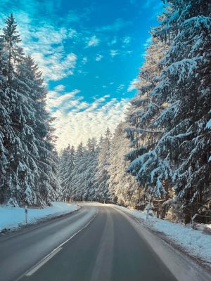 Bild 35: TOP Ferienwohnung "AussichtsReich" in Hahnenklee für 2 - 3 Pers. und Hund