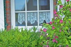 Bild 3: Hooksiel: Fewo KRABBE. Zentral, strandnah, mit Terrasse, max. 2 Hunde!