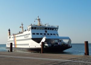 Bild 20: Ferienhaus "Lachmöwe", Urlaub mit Hund, Kamin, Sauna, Zaun, - 6 P., Nordsee