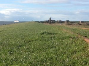 Bild 21: Ferienhaus "Lachmöwe", Urlaub mit Hund, Kamin, Sauna, Zaun, - 6 P., Nordsee