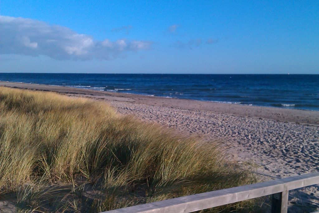 Bildergalerie von Chalet &quot;Nordwind&quot; für 2 3 Pers. Ostsee mit Hund