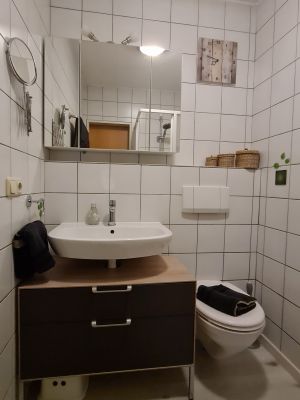 Bad mit Waschbecken, WC und Dusche. Es ist ein Fön für unsere Gäste vorhanden. - Bild 10: Urlaub im gemütlichen Ferienhaus Waldhäuschen Zandt- Bayerischer Wald
