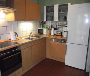 Küche mit Spülmaschine und Dunstabzugshaube - Bild 13: Urlaub im gemütlichen Ferienhaus Waldhäuschen Zandt- Bayerischer Wald