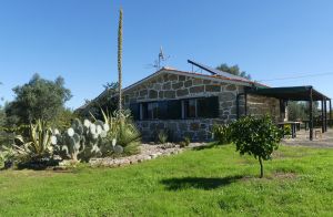 Bild 1: Barrierefreies Ferienhaus in Portugals grüner Mitte