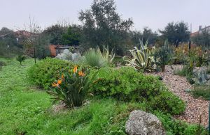 Bild 9: Barrierefreies Ferienhaus in Portugals grüner Mitte