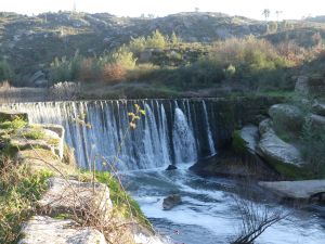 Bild 18: Barrierefreies Ferienhaus in Portugals grüner Mitte