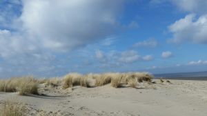 Bild 15: 3-Zimmer-Ferienwohnung direkt am Fehnkanal