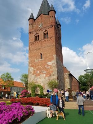 Bild 14: 3-Zimmer-Ferienwohnung direkt am Fehnkanal
