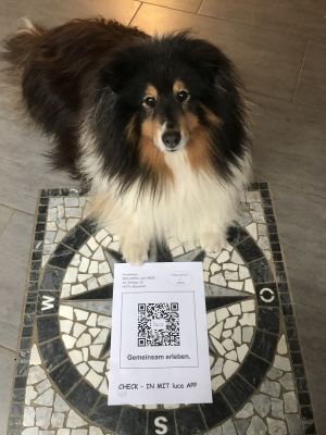 Bild 3: Wellness für Familie und Hund Ferienhaus an Ostsee und Schlei