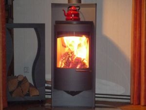 Bild 3: Mainzerhaus Surfsee Kamin Strandkorb