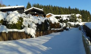 Bild 16: Ferienhaus Woodland Lodge mit eingezäuntem Garten in Winterberg-Niedersfeld