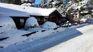 Bild 15: Ferienhaus Woodland Lodge mit eingezäuntem Garten in Winterberg-Niedersfeld