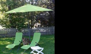 Bild 12: Ferienhaus Woodland Lodge mit eingezäuntem Garten in Winterberg-Niedersfeld