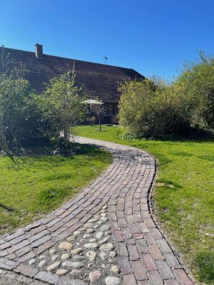 der Eingang mit angrenzender Terrasse wenn es blüht - Bild 1: Für die schönste Zeit im Jahr "Landhaus Angyal" Hunde Willkommen