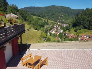 Bild 12: Außergewöhnliche luxuriöse Ferienwhg. im Schwarzwald - kl. Skulpturengarten