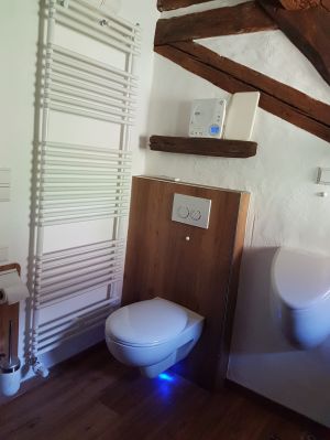 Bild 36: Außergewöhnliche luxuriöse Ferienwhg. im Schwarzwald - kl. Skulpturengarten