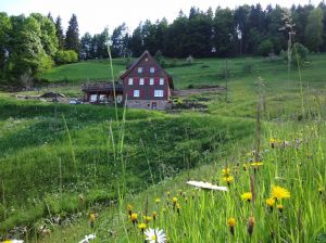 Bild 45: Außergewöhnliche luxuriöse Ferienwhg. im Schwarzwald - kl. Skulpturengarten