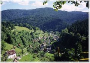 Bild 44: Außergewöhnliche luxuriöse Ferienwhg. im Schwarzwald - kl. Skulpturengarten