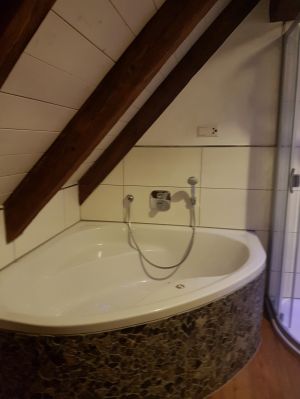 Bild 34: Außergewöhnliche luxuriöse Ferienwhg. im Schwarzwald - kl. Skulpturengarten