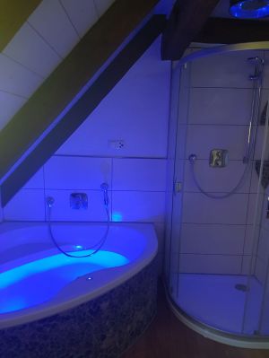 Bild 33: Außergewöhnliche luxuriöse Ferienwhg. im Schwarzwald - kl. Skulpturengarten