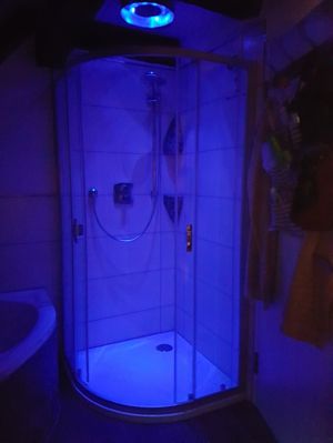 Bild 37: Außergewöhnliche luxuriöse Ferienwhg. im Schwarzwald - kl. Skulpturengarten