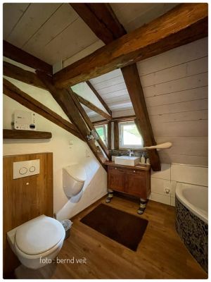 Bild 58: Außergewöhnliche luxuriöse Ferienwhg. im Schwarzwald - kl. Skulpturengarten