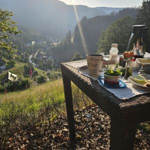 Bild 70: Außergewöhnliche luxuriöse Ferienwhg. im Schwarzwald - kl. Skulpturengarten