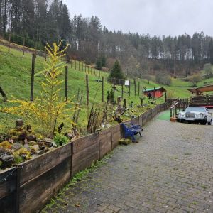ein Blick in den großen Hundeauslauf - Bild 28: Außergewöhnliche luxuriöse Ferienwhg. im Schwarzwald - kl. Skulpturengarten