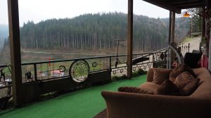 Bild 81: Außergewöhnliche luxuriöse Ferienwhg. im Schwarzwald - kl. Skulpturengarten