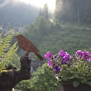 Bild 71: Außergewöhnliche luxuriöse Ferienwhg. im Schwarzwald - kl. Skulpturengarten