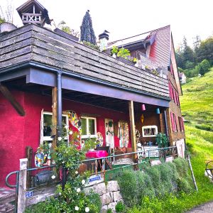 Bild 69: Außergewöhnliche luxuriöse Ferienwhg. im Schwarzwald - kl. Skulpturengarten