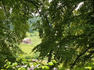 Bild 54: Außergewöhnliche luxuriöse Ferienwhg. im Schwarzwald - kl. Skulpturengarten