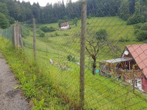 Der sehr große Hundeauslauf ist direkt mit der Wohnung verbunden, so dass sich ihr/e Hund/e den ganzen Tag frei bewegen können.Die Hunde lieben es. - Bild 52: Außergewöhnliche luxuriöse Ferienwhg. im Schwarzwald - kl. Skulpturengarten