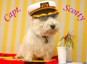 Bild 2: OSTSEEOASE die Ferienwohnung am Meer in Zingst