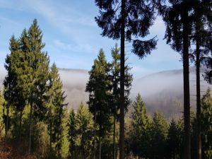 Bild 3: Ferienhaus Sam, Schwäbische Alb, Hunde willkommen, 1200qm Garten