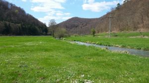 Bild 14: Ferienhaus Sam, Schwäbische Alb, Hunde willkommen, 1200qm Garten