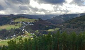 Bild 2: Ferienhaus Pfotenglück in der Eifel