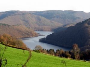 Bild 7: Ferienhaus Pfotenglück in der Eifel