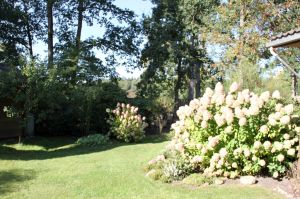 Bild 27: Ferienhaus Onyx, Meißendorf, Hüttensee, Naturschutzgebiet, Lüneburger Heide
