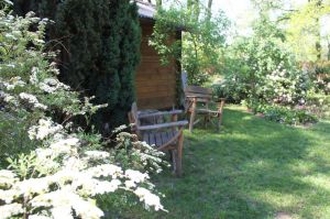 Bild 25: Ferienhaus Onyx, Meißendorf, Hüttensee, Naturschutzgebiet, Lüneburger Heide