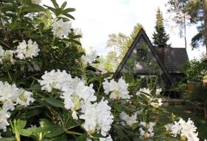 Bild 28: Ferienhaus Onyx, Meißendorf, Hüttensee, Naturschutzgebiet, Lüneburger Heide