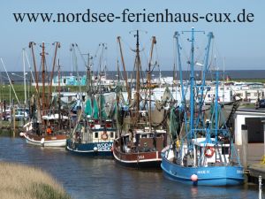 von Spieka-Neufeld befindet sich direkt hinter dem Deich. Natürlich gibt es dort auch fangfrische Krabben zu kaufen - Bild 10: Haus Strandläufer direkt hinterm Deich Hunde & Kinder herzl. willkommen