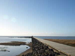 Bild 13: Haus Strandläufer direkt hinterm Deich Hunde & Kinder herzl. willkommen