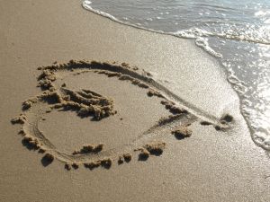 Bild 15: Haus Strandläufer direkt hinterm Deich Hunde & Kinder herzl. willkommen